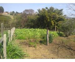 Sítio de 4 alqueires no bairro Guaraiuva em Vargem - SP