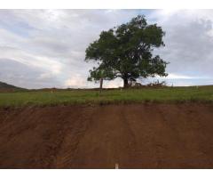 Terrenos de 200 a 390 metros no Loteamento Mirante do Matão 2