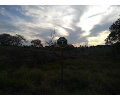 Terrenos de 200 a 390 metros no Loteamento Mirante do Matão 2