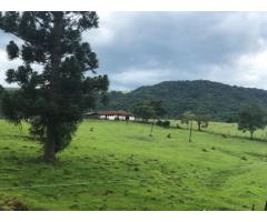 Fazenda de 271 alqueires em Itatinga - SP