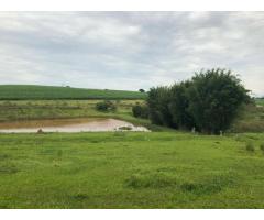 Fazenda de 271 alqueires em Itatinga - SP