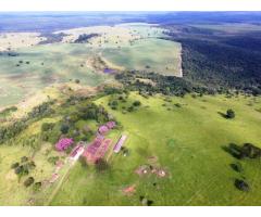 Fazenda de 271 alqueires em Itatinga - SP