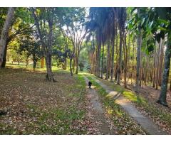 Sítio com 56.722 metros em Bragança Paulista - SP