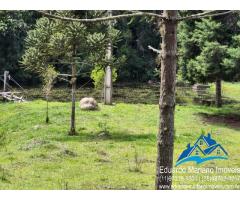 Sitio com 22 alqueires no bairro do Peão em Piracaia SP