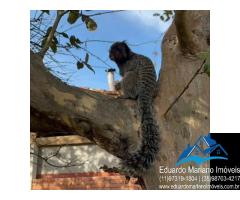 Chalé no Camping El Sombrero em Vargem SP