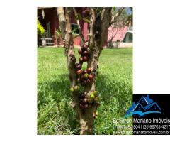 Chalé no Camping El Sombrero em Vargem SP